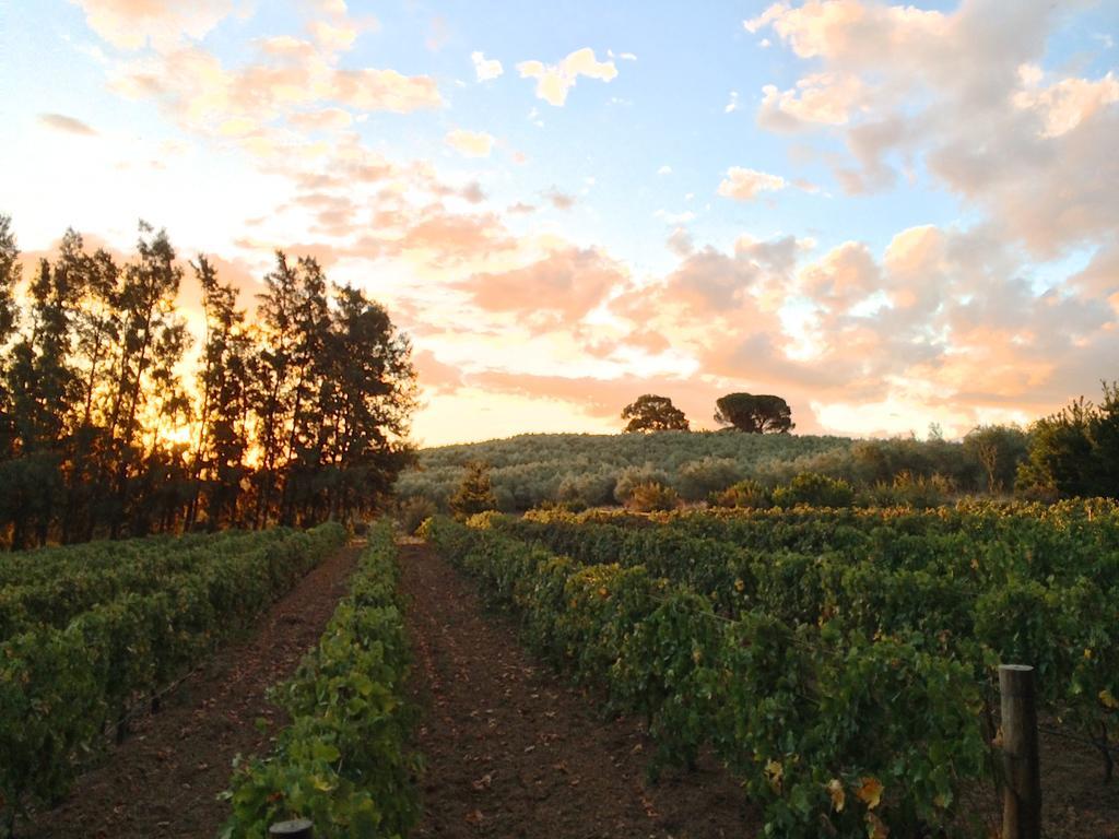 Gasthaus Calais Wine Estate Paarl Exterior foto